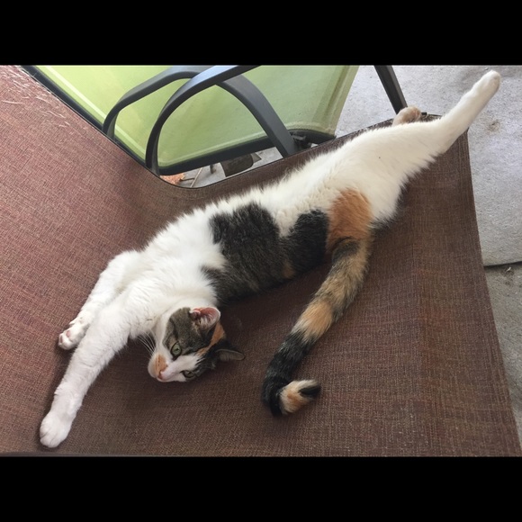 Meet your Posher, Michelle - Picture 4 of 8